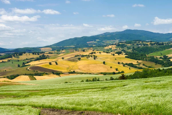 Landskap Campobasso Provinsen Molise Italien Längs Vägen Till Termoli — Stockfoto