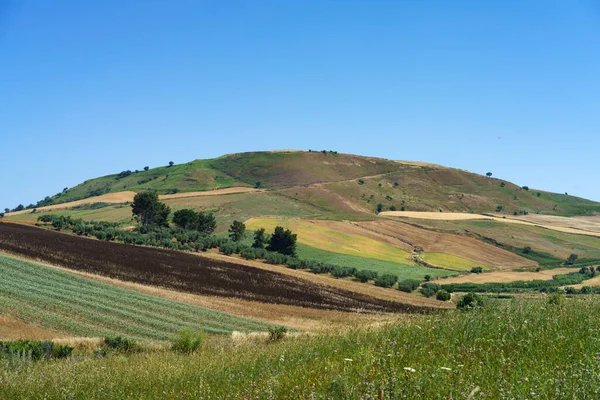 Krajobraz Wzdłuż Drogi Termoli Prowincja Campobasso Molise Serracarpiola Prowincja Foggia — Zdjęcie stockowe