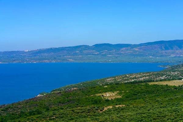 Paysage Rural Gargano Province Foggia Pouilles Italie Long Route Vico — Photo