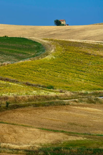 Landscape Road Termoli Campobasso Province Molise Serracarpiola Foggia Province Puglia — Stock Photo, Image