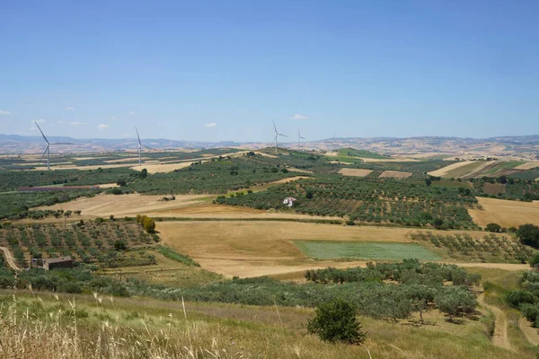 Rural Landscape Gargano Foggia Province Apulia Italy Road Vico — Stock Photo, Image