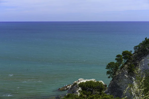 Coast Vieste Gargano Foggia Province Apulia Italy June — Stock Photo, Image