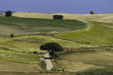 Haziran 'da Termoli' den (Campobasso ili, Molise) Serracarpiola 'ya (Foggia ili, Puglia) uzanan yol boyunca uzanan manzara.