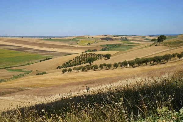Landskap Längs Vägen Från Termoli Provinsen Campobasso Molise Till Serracarpiola — Stockfoto