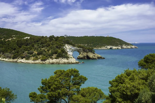 Costa Vieste Gargano Provincia Foggia Apulia Italia Junio — Foto de Stock