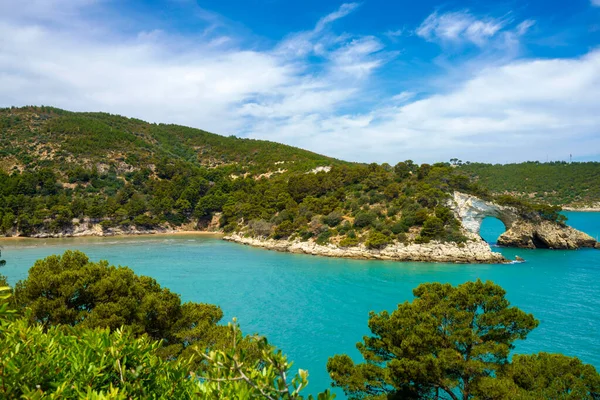 Coast Vieste Gargano Foggia Province Apulia Italy June — Stock Photo, Image