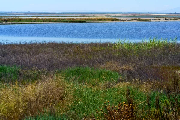 Saline Margherita Savoia Provincia Barletta Andria Trani Puglia Italia Giugno — Foto Stock