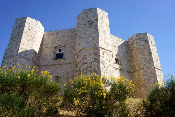 Castel Del Monte Historický Hrad Provincii Barletta Andria Trani Apulia — Stock fotografie
