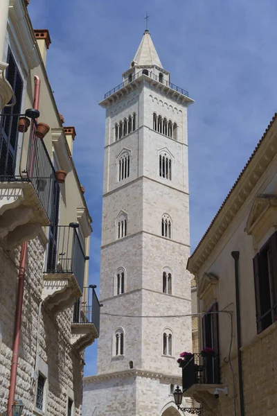 Trani Apulia Italia Catedral Románica Otros Edificios Históricos —  Fotos de Stock