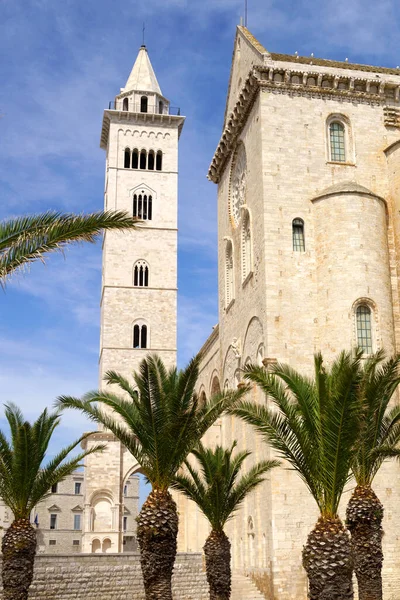 Trani Apulië Italië Buitenkant Van Romaanse Kathedraal — Stockfoto
