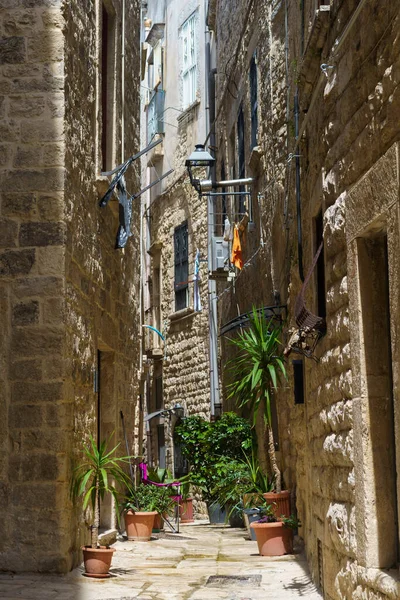 Bisceglie Historic City Barletta Andria Trani Province Apulia Italy — Stock Photo, Image