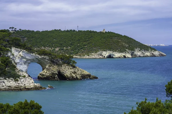 Costa Vieste Gargano Provincia Foggia Apulia Italia Junio — Foto de Stock