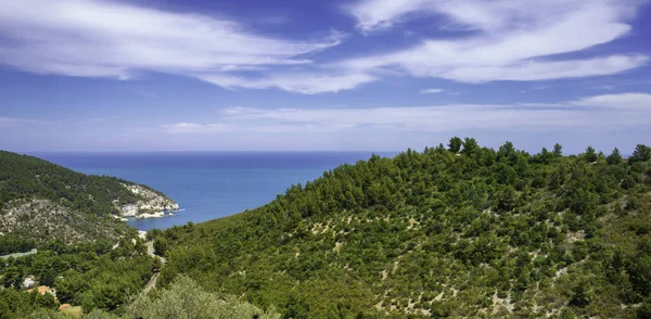 Costa Pugnochiuso Gargano Provincia Foggia Puglia Italia Nel Mese Giugno — Foto Stock