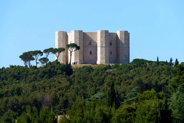 Castel Del Monte Castello Storico Provincia Barletta Andria Trani Puglia — Foto Stock