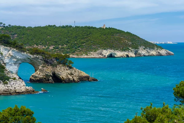 Costa Vieste Gargano Provincia Foggia Apulia Italia Junio — Foto de Stock