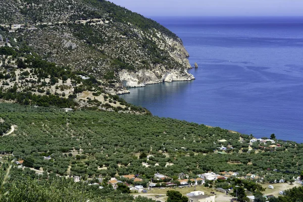 Costa Mattinata Gargano Provincia Foggia Puglia Italia Giugno — Foto Stock