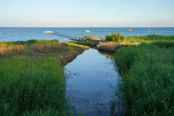 Costa Manfredonia Provincia Foggia Apulia Italia — Foto de Stock