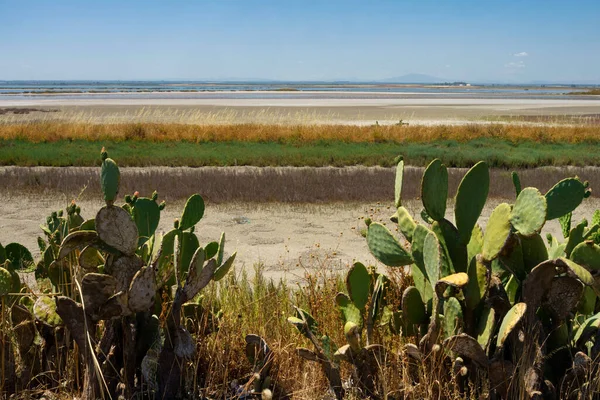 Salinas Margherita Savoia Provincia Barletta Andria Trani Apulia Italia Junio — Foto de Stock