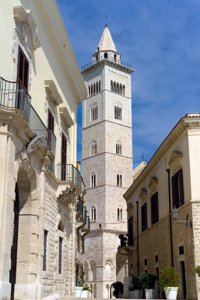 Trani Apulien Italien Den Romanska Katedralen Och Andra Historiska Byggnader — Stockfoto