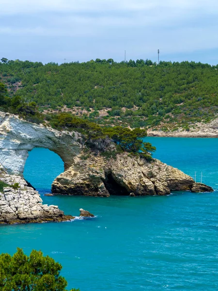 Costa Vieste Gargano Provincia Foggia Apulia Italia Junio — Foto de Stock