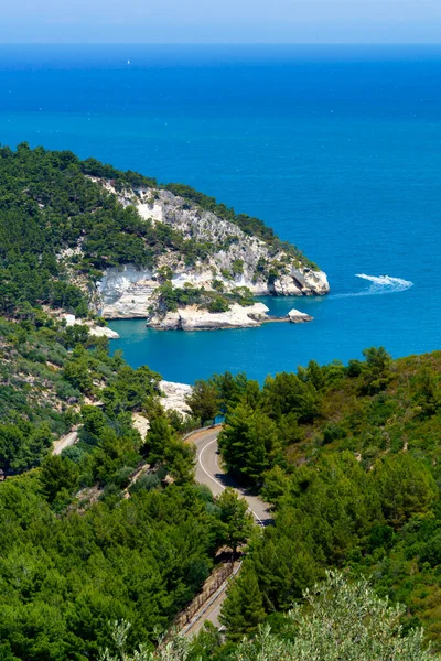 Coast Pugnochiuso Gargano Foggia Province Apulia Italy June — Stock Photo, Image