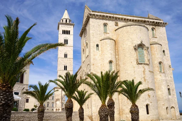 Trani Apulien Italien Utsidan Den Romanska Katedralen — Stockfoto