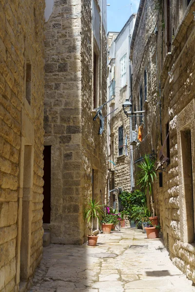 Bisceglie Barletta Andria Trani Nin Tarihi Şehri Apulia Talya — Stok fotoğraf