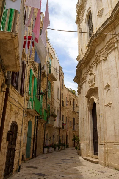 Molfetta Історичне Місто Провінції Барі Апулія Італія — стокове фото