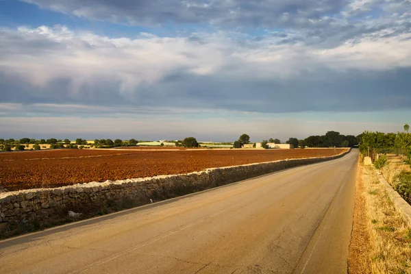 Paisaje Rural Junio Entre Bitonto Conversano Provincia Bari Apulia Italia — Foto de Stock