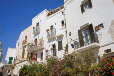 Polignano a Mare, Bari eyaletinin tarihi şehri, Apulia, İtalya: kıyıdaki eski binalar