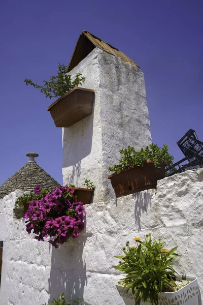 Alberobello Bari Province Apulia Italy Exterior Famous Trulli Unesco World — Stock Photo, Image