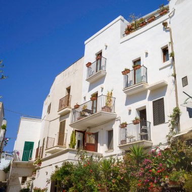 Polignano a Mare, Bari eyaletinin tarihi şehri, Apulia, İtalya: kıyıdaki eski binalar