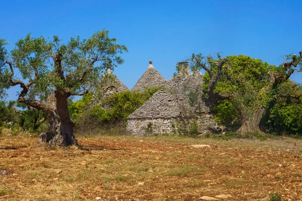 Paisagem Rural Junho Entre Alberobello Locorotondo Província Bari Apúlia Itália — Fotografia de Stock