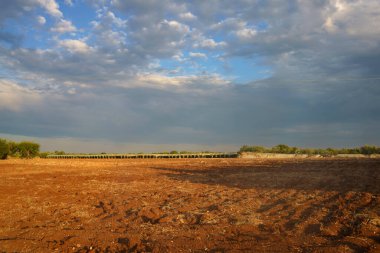 Haziran 'da Bitonto ve Conversano, Bari ili, Apulia, İtalya arasındaki kır manzarası