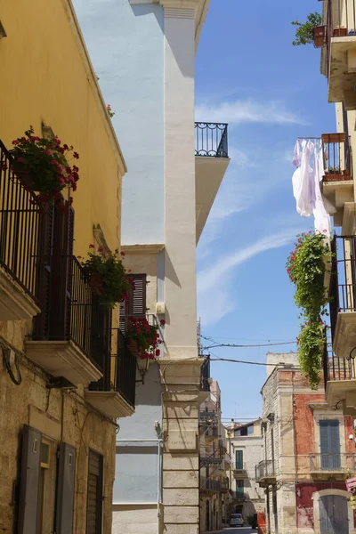 Ruvo Puglia Bari Eyaletinin Tarihi Şehri Apulia Talya Tipik Sokak — Stok fotoğraf