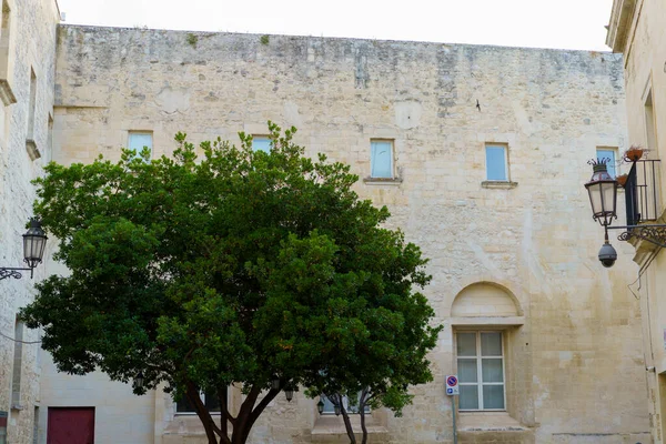 Lecce Apulia Włochy Zewnętrzne Części Zabytkowych Budynków — Zdjęcie stockowe