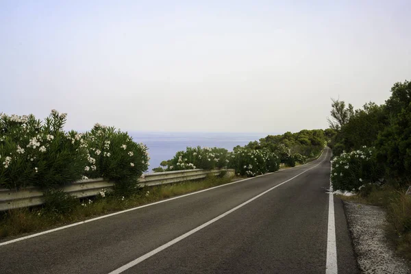 Ακτή Του Salento Επαρχία Lecce Απουλία Ιταλία Κοντά Στη Leuca — Φωτογραφία Αρχείου