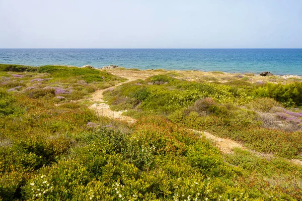 Costa Salento Província Lecce Apúlia Itália Leuca Gallipoli Verão — Fotografia de Stock