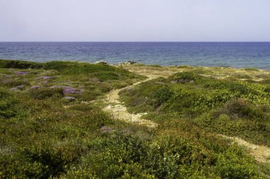Salento kıyıları, Lecce ili, Apulia, İtalya, yazın Leuca 'dan Gelibolu' ya