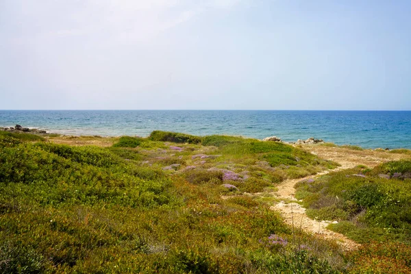 Pobřeží Salenta Provincie Lecce Apulia Itálie Leucy Gallipoli Létě — Stock fotografie