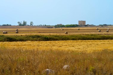 Salento kıyısında, Otranto ve Leuca yakınlarında, Lecce ili, Apulia, İtalya, yazın.