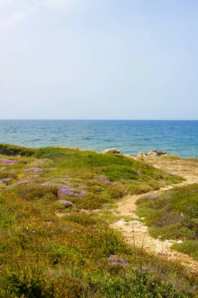 Costa Salento Província Lecce Apúlia Itália Leuca Gallipoli Verão — Fotografia de Stock