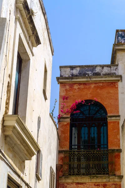 Nardo Historisk Stad Lecce Provinsen Apulien Italien Typisk Gata — Stockfoto
