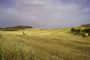 Matera 'dan Gravina di Puglia, Basilicata, İtalya' ya giden yol boyunca uzanan kır manzarası.