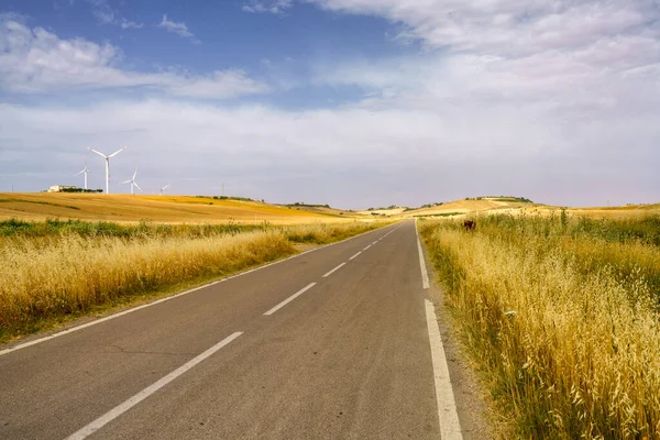 Country Landscape Road Matera Gravina Puglia Basilicata Italy Summertime — Stock Photo, Image