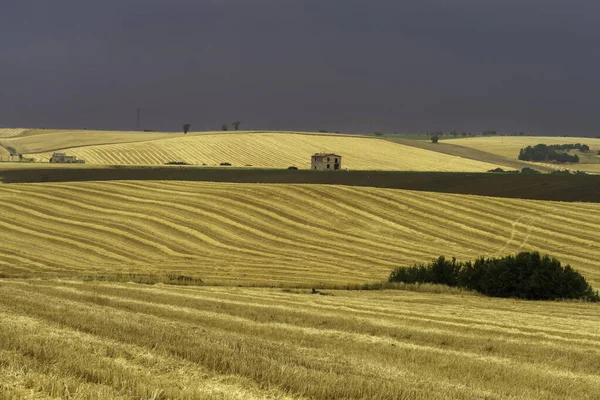 Paisagem Rural Basilicata Longo Estrada Gravina Puglia Para Melfi Província — Fotografia de Stock