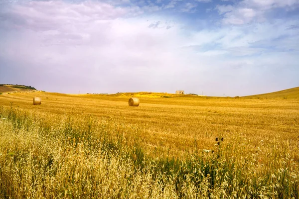 Paisaje Rural Largo Carretera Matera Gravina Puglia Basilicata Italia Verano — Foto de Stock