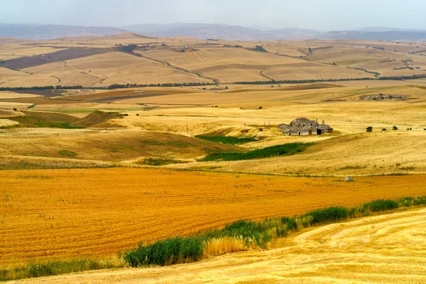 Paisaje Rural Cerca Gravina Puglia Provincia Bari Apulia Italia Verano — Foto de Stock