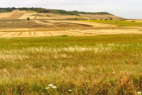 Country Landscape Gravina Puglia Bari Province Apulia Italy Summertime — Stock Photo, Image