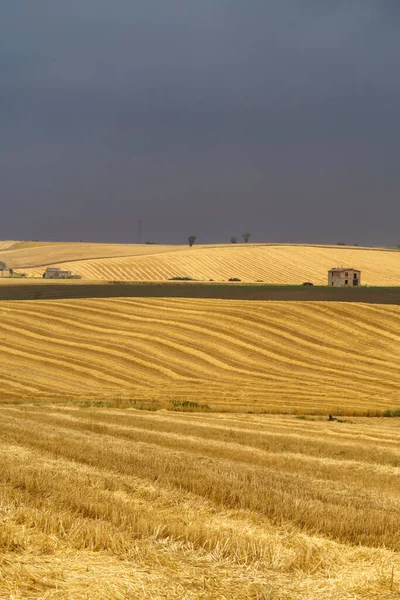 Paisagem Rural Basilicata Longo Estrada Gravina Puglia Para Melfi Província — Fotografia de Stock